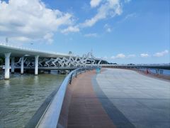 -演武大桥观景平台