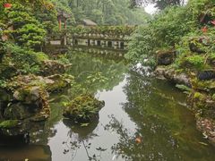 -南山植物园
