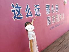 -燕塞湖鸟语林景区