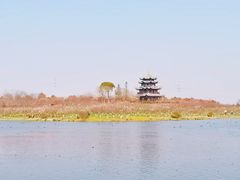 -上海海湾国家森林公园