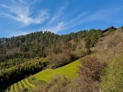 -敬亭山风景名胜区