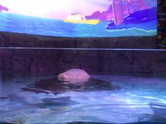 -沈阳海洋探索中心