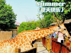 -上海野生动物园