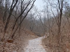 -北京西山国家森林公园