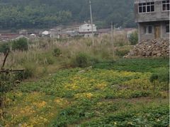 公盂山山脚1-公盂村
