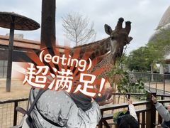 -灵玲国际马戏城