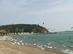 -烟墩角天鹅湖