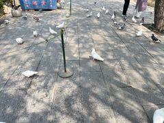 -翰园碑林