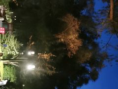 -郭守敬纪念馆