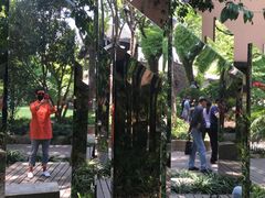 -得丘礼享谷·玉兰苑