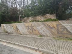 -上海滨江森林公园