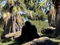 -威勒比开放式动物园
