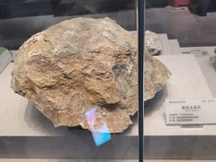 -湖南省地质博物馆