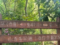 -仙岳公园