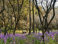 -共青国家森林公园-售票处