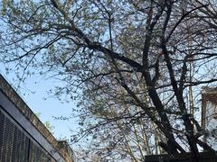 -苏州文庙(姑苏区)