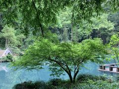 -灵栖洞天