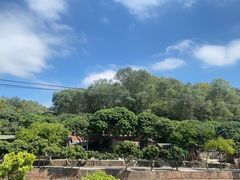 -满記土窑烧鷄波浪山莊