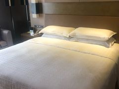 -扬州绿地铂骊酒店