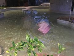 -徂徕山森林康养度假谷温泉
