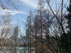-天鹅湖体育公园