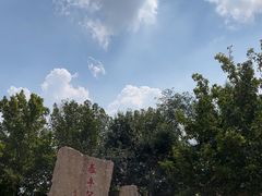 -泰丰公园