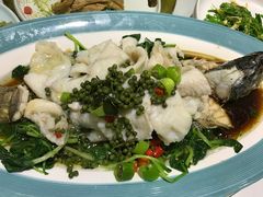鲜花椒炝鲈鱼-天和晟烤鸭店(玉泉西街店)
