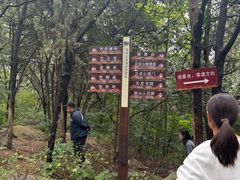 -云龙山