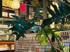 -桂满陇·海市蜃楼·黑金(国金店)