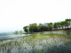 -溱湖国家湿地公园