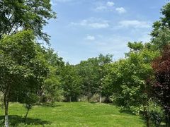 -白鹭湾湿地公园