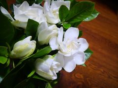 -三圣花乡旅游区