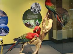 -国家自然博物馆