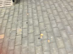 -镇南锅盖面馆(解放路店)