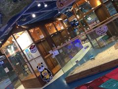 -龟与熊猫宠物公园(南坪店)