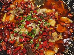 -鱼翅楼·津派砂锅鱼翅(水上公园店)