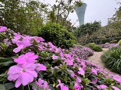 -狐尾山公园