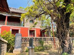 -普照寺