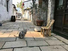-巡塘古镇