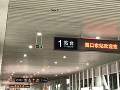 -海口东站