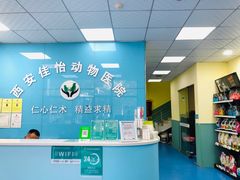 -佳怡动物医院·平价24小时·猫专科骨外科