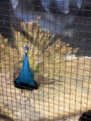 -酷嗒动物文化乐园(cutezoo西溪乐天城店)