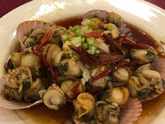 -青岛香根温泉酒店