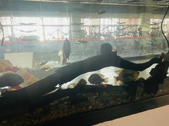 -弓舍射箭俱乐部(高新总店)