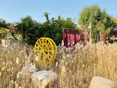 -济南国际园博园