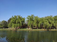 -白塘生态植物园