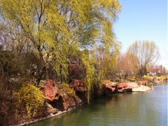 iphone_upload_pic-北京欢乐谷