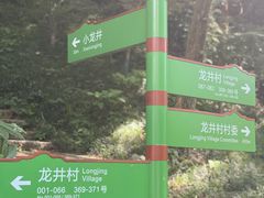 -龙井村