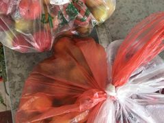 -西山樟坞健康果园枇杷杨梅采摘