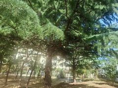 -贮水山儿童公园